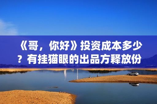 《哥，你好》投资成本多少？有挂猫眼的出品方释放份额吗？(哥哥你好牛)