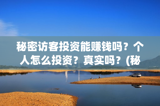 秘密访客投资能赚钱吗?个人怎么投资?真实吗?(秘密访客投资能赚钱吗) 秘密访客投资能赚钱吗?个人怎么投资?真实吗?(秘密访客投资能赚钱吗)