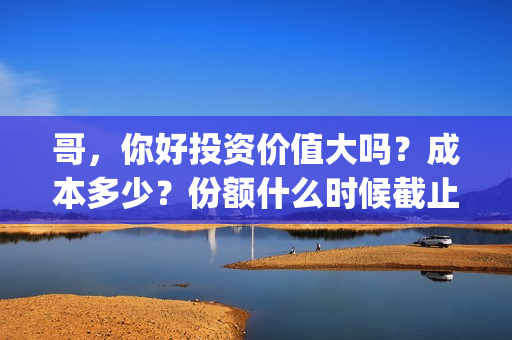 哥，你好投资价值大吗？成本多少？份额什么时候截止？(歌曲哥哥你好)