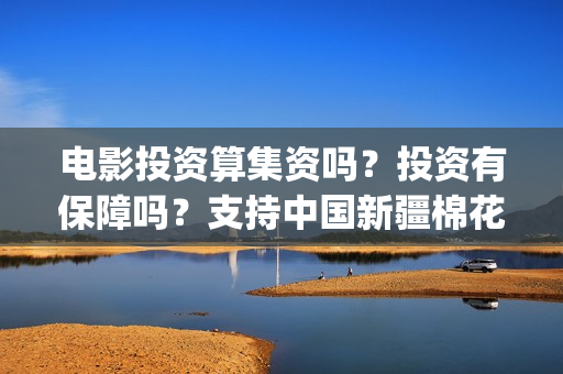 电影投资算集资吗？投资有保障吗？支持中国新疆棉花(电影投资资金安全吗)