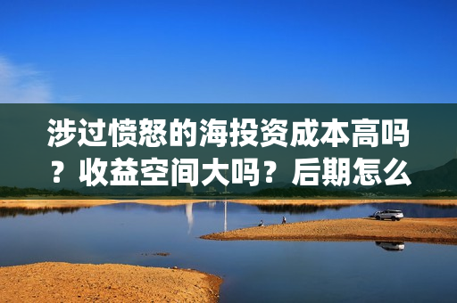 涉过愤怒的海投资成本高吗？收益空间大吗？后期怎么分账？(涉过愤怒的海事件原型)