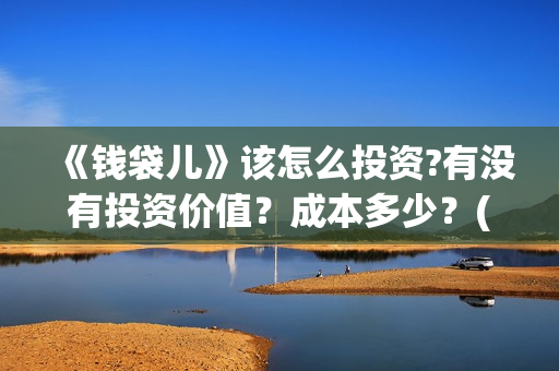 《钱袋儿》该怎么投资?有没有投资价值？成本多少？(钱袋子app是什么)