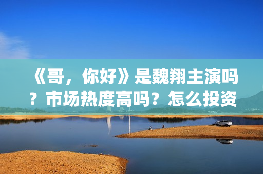《哥，你好》是魏翔主演吗？市场热度高吗？怎么投资认购？分账快吗？(鹩哥你好mp3)