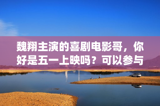 魏翔主演的喜剧电影哥，你好是五一上映吗？可以参与投资吗？怎么参与(魏翔主演的喜剧电视剧欢喜密探)