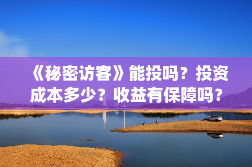 《秘密访客》能投吗？投资成本多少？收益有保障吗？(《秘密访客》看不懂)