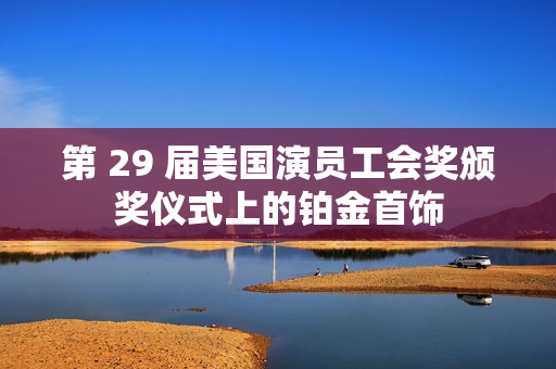 第 29 届美国演员工会奖颁奖仪式上的铂金首饰