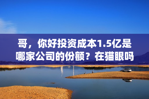 哥，你好投资成本1.5亿是哪家公司的份额？在猫眼吗？预测票房多少？(鹩哥你好mp3)