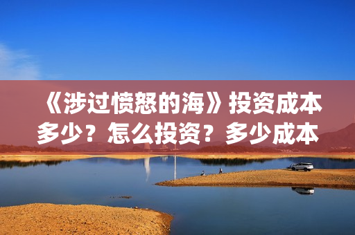 《涉过愤怒的海》投资成本多少？怎么投资？多少成本？(涉过愤怒的海周依然做出的牺牲)