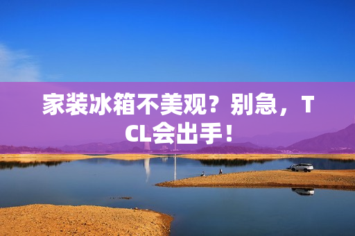 家装冰箱不美观？别急，TCL会出手！