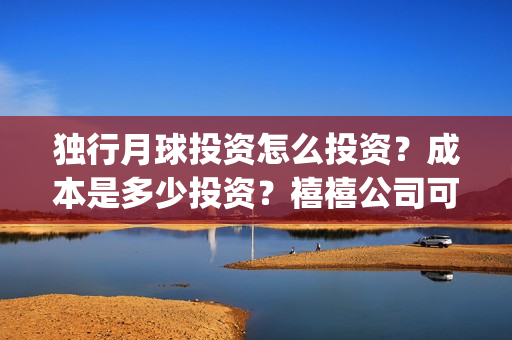 独行月球投资怎么投资？成本是多少投资？禧禧公司可以投资吗？(独行月球投资成本)