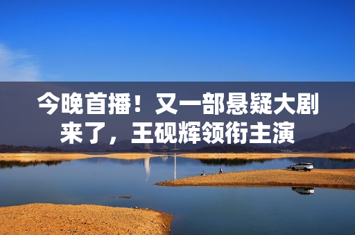 今晚首播！又一部悬疑大剧来了，王砚辉领衔主演