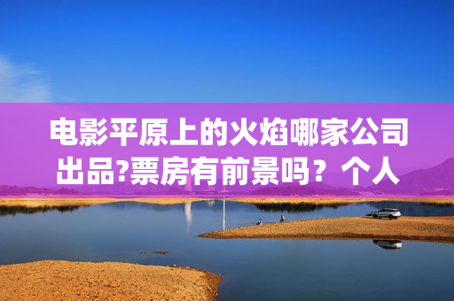 电影平原上的火焰哪家公司出品?票房有前景吗？个人参与投资有风险吗(平原上的火焰15秒预告片)