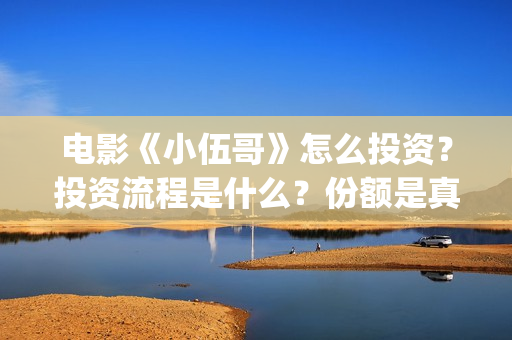电影《小伍哥》怎么投资？投资流程是什么？份额是真实的吗？(电影小伍哥上映时间)