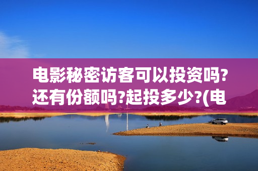 电影秘密访客可以投资吗?还有份额吗?起投多少?(电影秘密访客有彩蛋)