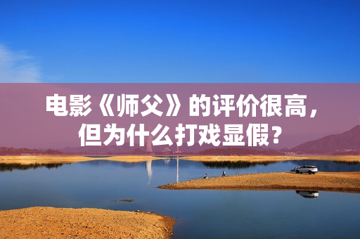 电影《师父》的评价很高，但为什么打戏显假？