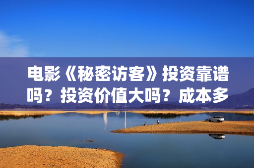 电影《秘密访客》投资靠谱吗？投资价值大吗？成本多少？(电影,秘密访客)