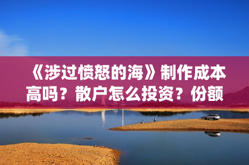 《涉过愤怒的海》制作成本高吗？散户怎么投资？份额真实吗?(涉过愤怒的海事件原型)