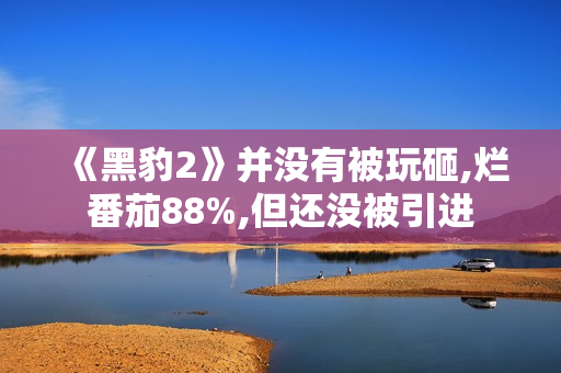 《黑豹2》并没有被玩砸,烂番茄88%,但还没被引进