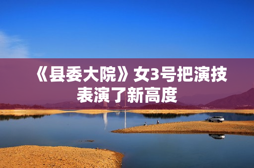 《县委大院》女3号把演技表演了新高度 《县委大院》女3号把演技表演了新高度