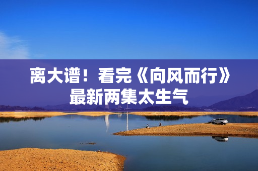 离大谱!看完《向风而行》最新两集太生气 离大谱!看完《向风而行》最新两集太生气