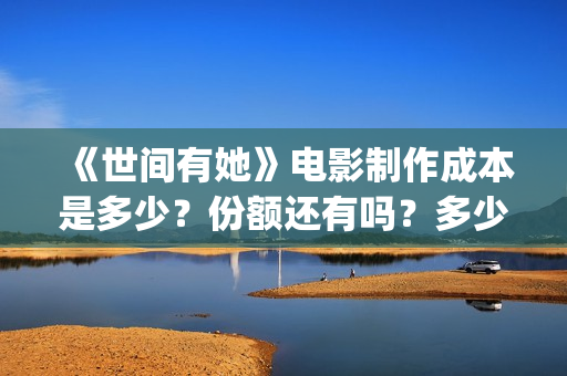 《世间有她》电影制作成本是多少？份额还有吗？多少钱一份？(世间有她电影剧情介绍)