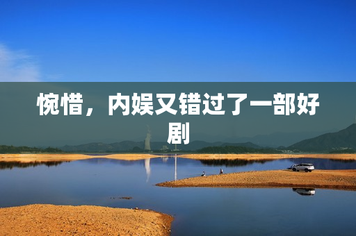 惋惜，内娱又错过了一部好剧