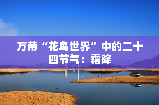 万芾“花鸟世界”中的二十四节气：霜降