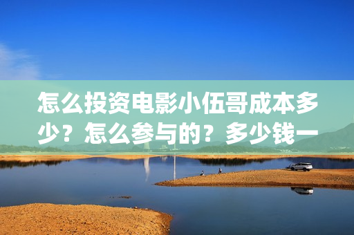 怎么投资电影小伍哥成本多少？怎么参与的？多少钱一份(怎么投资电影小说公司)