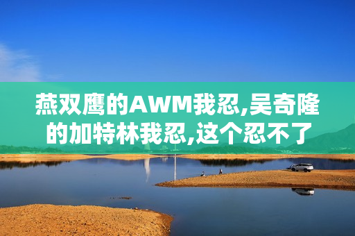 燕双鹰的AWM我忍,吴奇隆的加特林我忍,这个忍不了