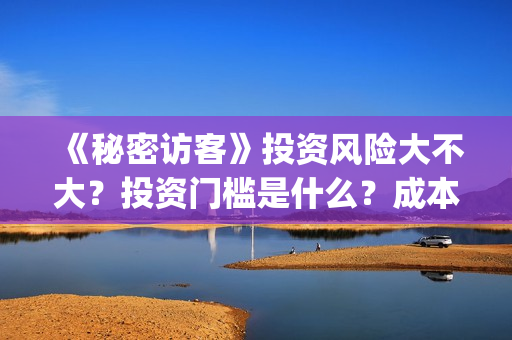《秘密访客》投资风险大不大？投资门槛是什么？成本是多少？(秘密访客演了个啥)