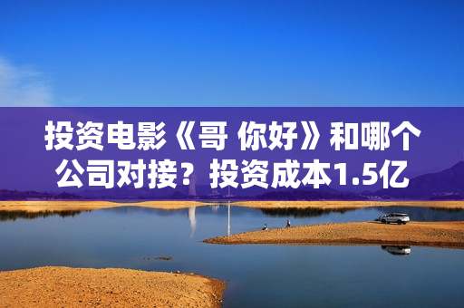 投资电影《哥 你好》和哪个公司对接？投资成本1.5亿值得参与吗？