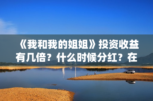 《我和我的姐姐》投资收益有几倍？什么时候分红？在哪投资？(电视剧我和我的姐姐)