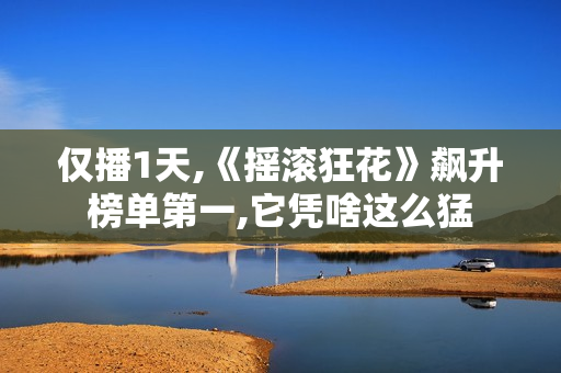 仅播1天,《摇滚狂花》飙升榜单第一,它凭啥这么猛