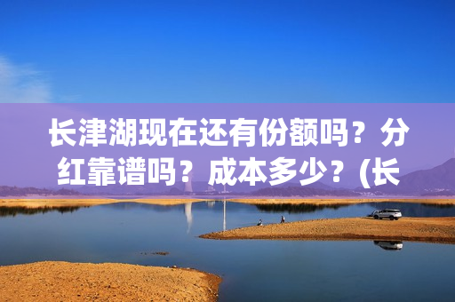长津湖现在还有份额吗？分红靠谱吗？成本多少？(长津湖现在什么样)