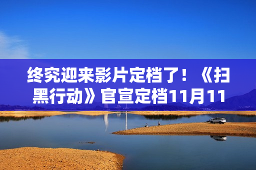 终究迎来影片定档了！《扫黑行动》官宣定档11月11日