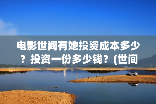 电影世间有她投资成本多少？投资一份多少钱？(世间有她电影剧情介绍)