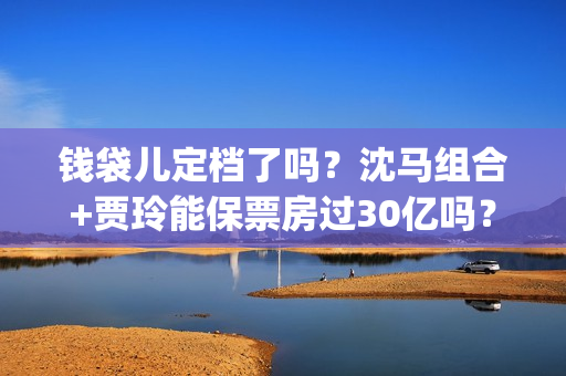 钱袋儿定档了吗？沈马组合+贾玲能保票房过30亿吗？投资门槛多少？(钱袋子app是什么)