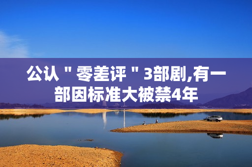 公认＂零差评＂3部剧,有一部因标准大被禁4年