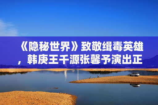 《隐秘世界》致敬缉毒英雄，韩庚王千源张馨予演出正邪对决