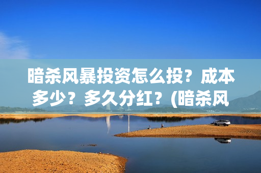 暗杀风暴投资怎么投？成本多少？多久分红？(暗杀风暴演员)