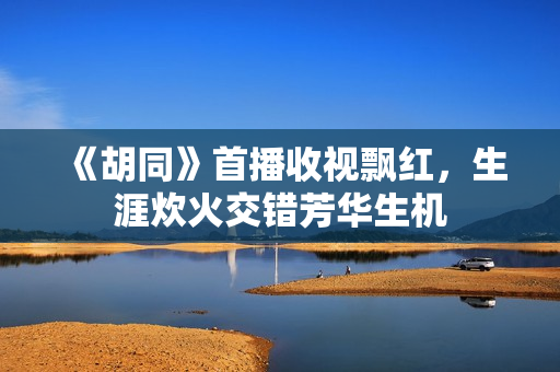 《胡同》首播收视飘红，生涯炊火交错芳华生机