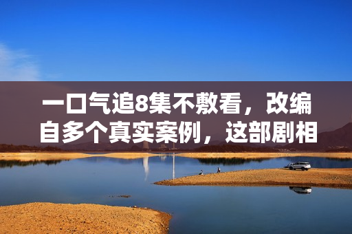 一口气追8集不敷看，改编自多个真实案例，这部剧相对是生涯刚需
