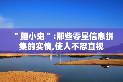 ＂胆小鬼＂:那些零星信息拼集的实情,使人不忍直视