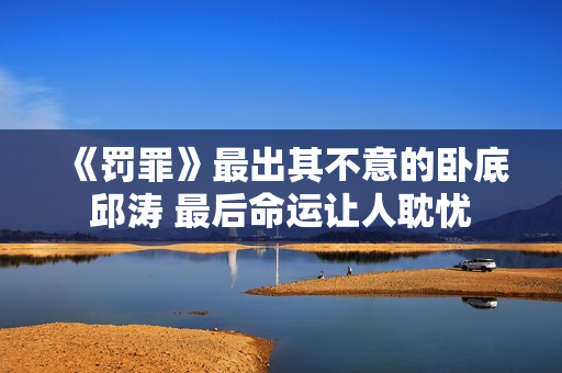 《罚罪》最出其不意的卧底邱涛 最后命运让人耽忧