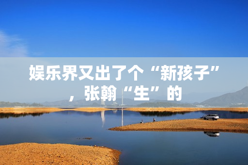 娱乐界又出了个“新孩子”，张翰“生”的