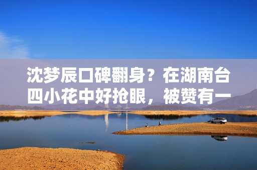 沈梦辰口碑翻身？在湖南台四小花中好抢眼，被赞有一姐风仪