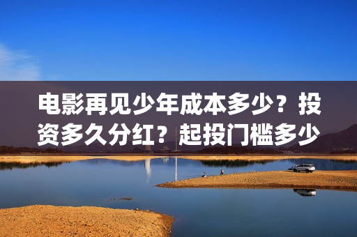 电影再见少年成本多少？投资多久分红？起投门槛多少？(再见少年是什么电影)