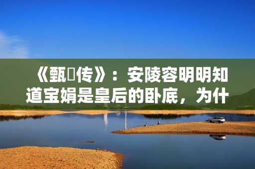 《甄嬛传》：安陵容明明知道宝娟是皇后的卧底，为什么不揭露？