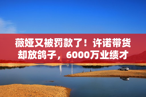 薇娅又被罚款了！许诺带货却放鸽子，6000万业绩才做了223万