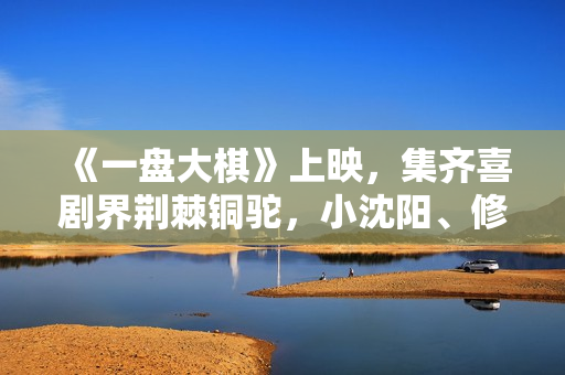 《一盘大棋》上映,集齐喜剧界荆棘铜驼,小沈阳、修睿演郭涛儿子 《一盘大棋》上映,集齐喜剧界荆棘铜驼,小沈阳、修睿演郭涛儿子